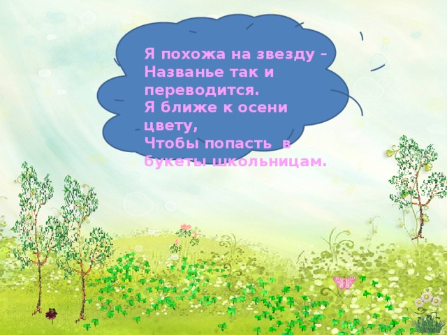   Я похожа на звезду – Названье так и переводится. Я ближе к осени цвету, Чтобы попасть в букеты школьницам.         