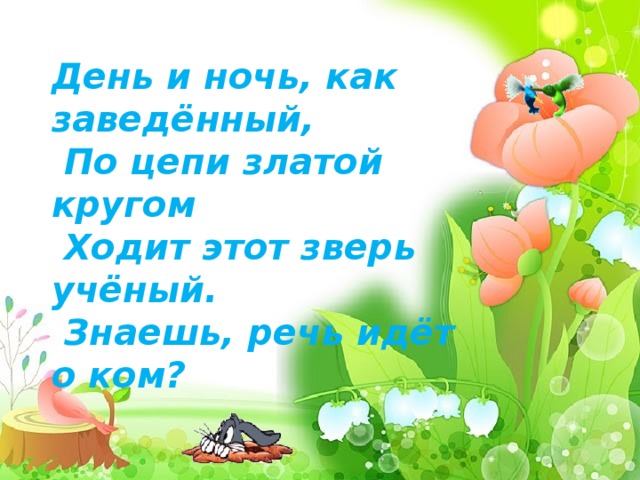 День и ночь, как заведённый,  По цепи златой кругом  Ходит этот зверь учёный.  Знаешь, речь идёт о ком? 