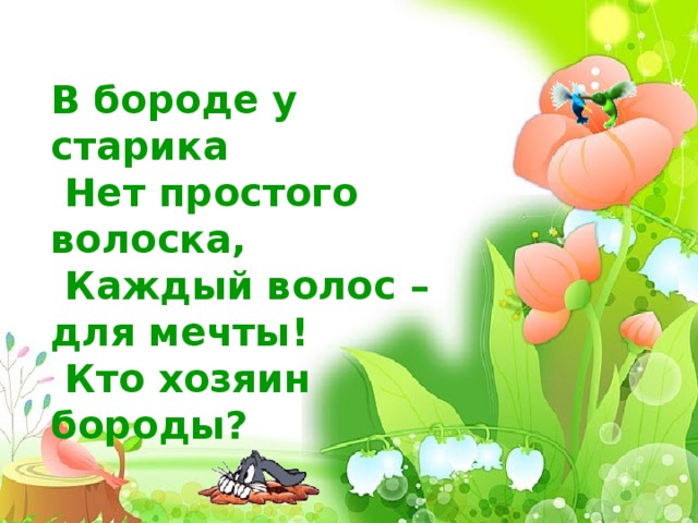       В бороде у старика  Нет простого волоска,  Каждый волос – для мечты!  Кто хозяин бороды?  