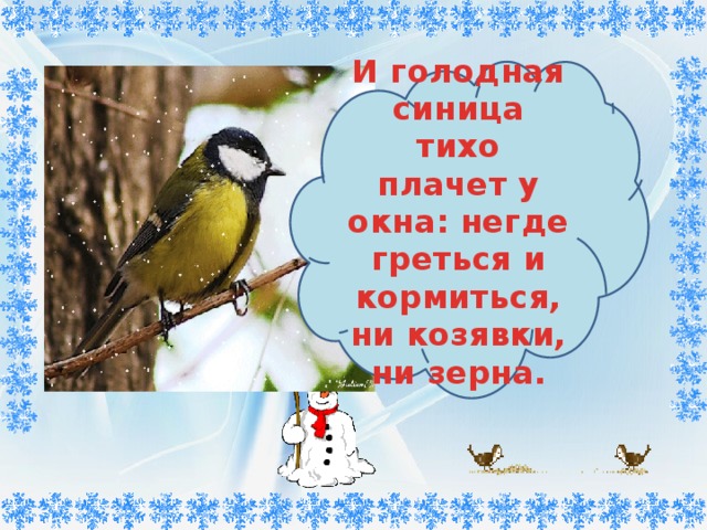      И голодная синица тихо плачет у окна: негде греться и кормиться, ни козявки, ни зерна. 