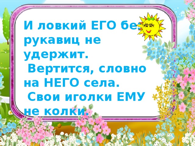    И ловкий ЕГО без рукавиц не удержит.  Вертится, словно на НЕГО села.  Свои иголки ЕМУ не колки.      