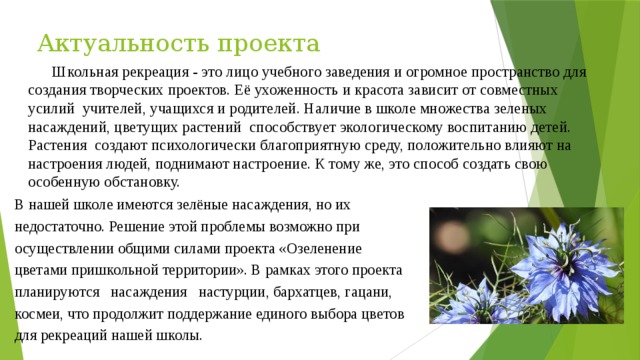 Актуальность проекта  Школьная рекреация - это лицо учебного заведения и огромное пространство для создания творческих проектов. Её ухоженность и красота зависит от совместных усилий  учителей, учащихся и родителей. Наличие в школе множества зеленых насаждений, цветущих растений  способствует экологическому воспитанию детей. Растения  создают психологически благоприятную среду, положительно влияют на настроения людей, поднимают настроение. К тому же, это способ создать свою особенную обстановку.    В нашей школе имеются зелёные насаждения, но их недостаточно. Решение этой проблемы возможно при осуществлении общими силами проекта «Озеленение цветами пришкольной территории». В рамках этого проекта планируются   насаждения   настурции, бархатцев, гацани, космеи, что продолжит поддержание единого выбора цветов для рекреаций нашей школы.     