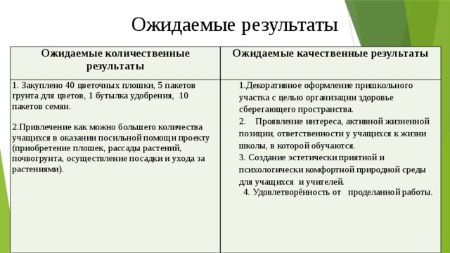 Количественные показатели реализации проекта пример