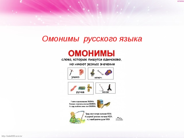   Омонимы русского языка    
