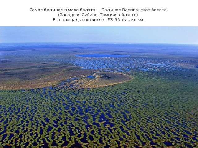 Самое большое в мире болото — Большое Васюганское болото.  (Западная Сибирь. Томская область)  Его площадь составляет 53-55 тыс. кв.км.   