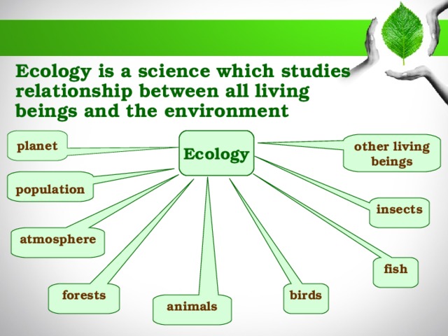 Ecological problems схема