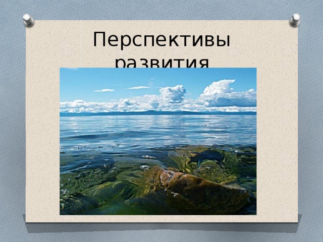 Перспективы развития 