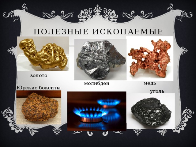 Полезные ископаемые золото медь молибден Юрские бокситы уголь 