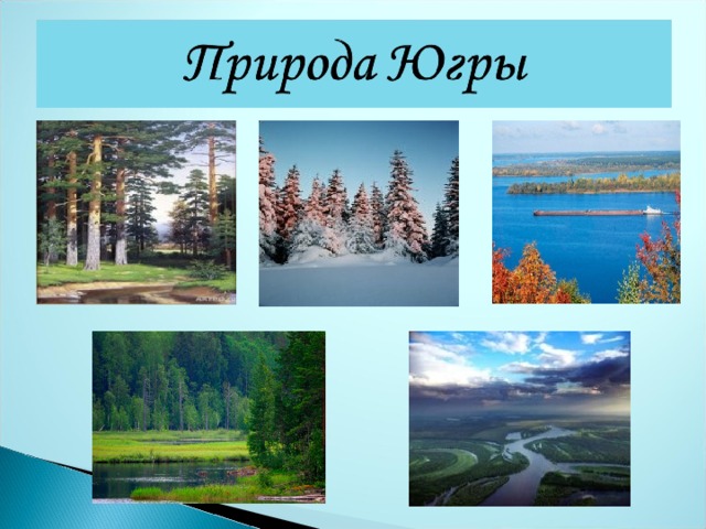 Проект мой край родной югра