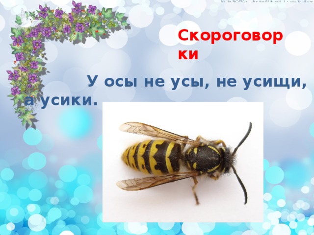 Ус ос