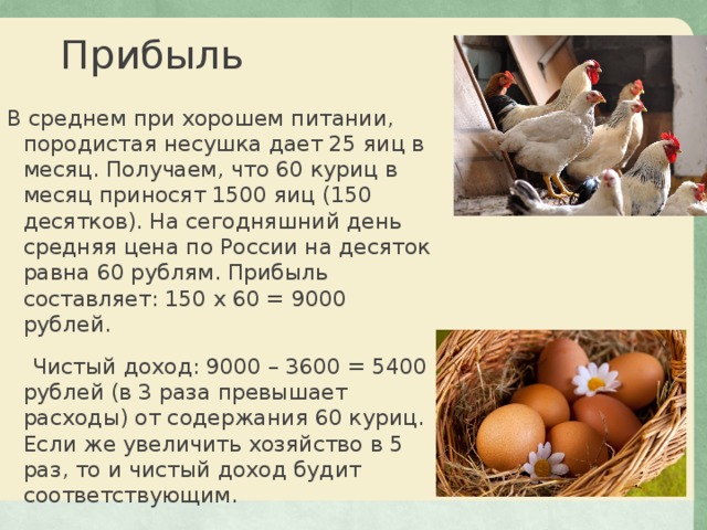 Прибыль В среднем при хорошем питании, породистая несушка дает 25 яиц в месяц. Получаем, что 60 куриц в месяц приносят 1500 яиц (150 десятков). На сегодняшний день средняя цена по России на десяток равна 60 рублям. Прибыль составляет: 150 х 60 = 9000 рублей. Чистый доход: 9000 – 3600 = 5400 рублей (в 3 раза превышает расходы) от содержания 60 куриц. Если же увеличить хозяйство в 5 раз, то и чистый доход будит соответствующим. 