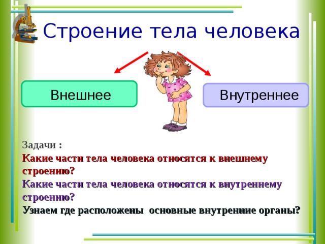 2 класс тех карта строение тела человека