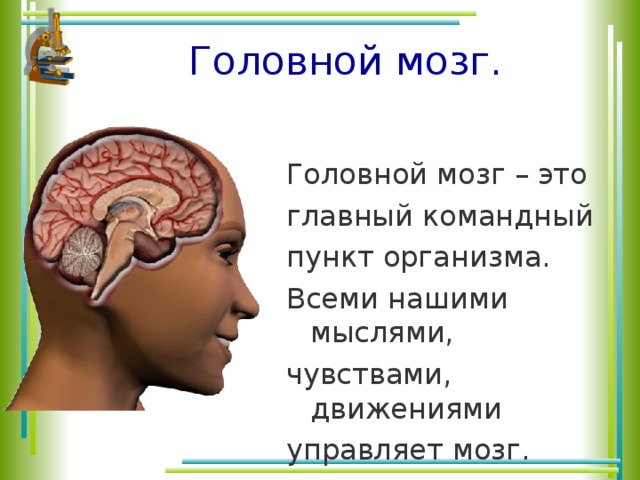 Командный пункт тела человека окружающий мир