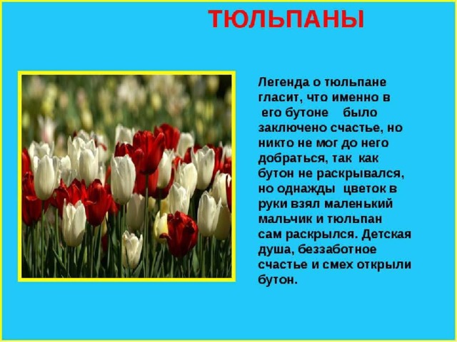 Легенды о цветах | Централизованная система детских библиотек города Рязани