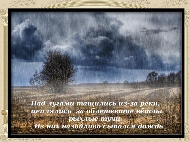         Над лугами тащились из-за реки, цеплялись за облетевшие вётлы рыхлые тучи.  Из них назойливо сыпался дождь 