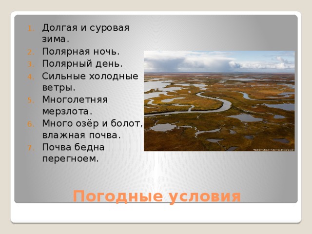 Текст полярной ночью в тундре когда солнце. Климатические условия болот. Климатические условия на территории России болото. Погодные условия тундры. Долгая суровая зима.