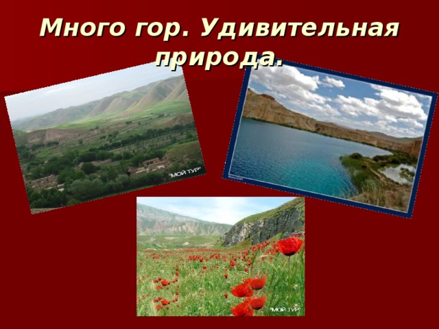 Много гор. Удивительная природа. 