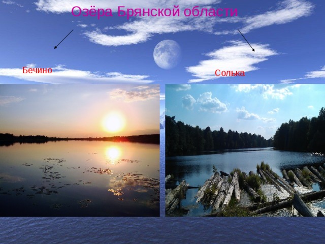 Озёра Брянской области Бечино Солька 