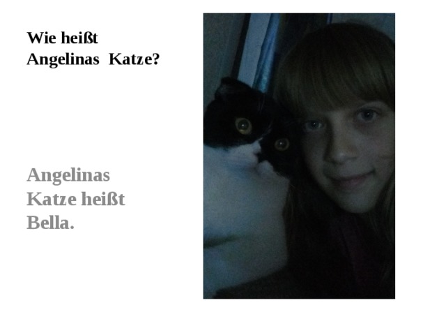 Wie heißt Angelinas Katze?  Angelinas Katze heißt Bella.
