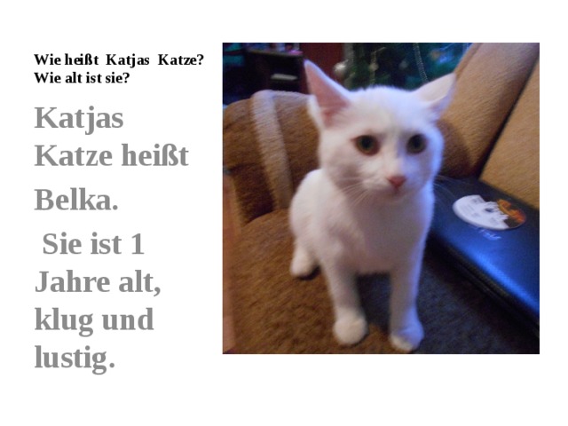 Wie heißt Katjas Katze?  Wie alt ist sie? Katjas Katze heißt Belka.  Sie ist 1 Jahre alt, klug und lustig.