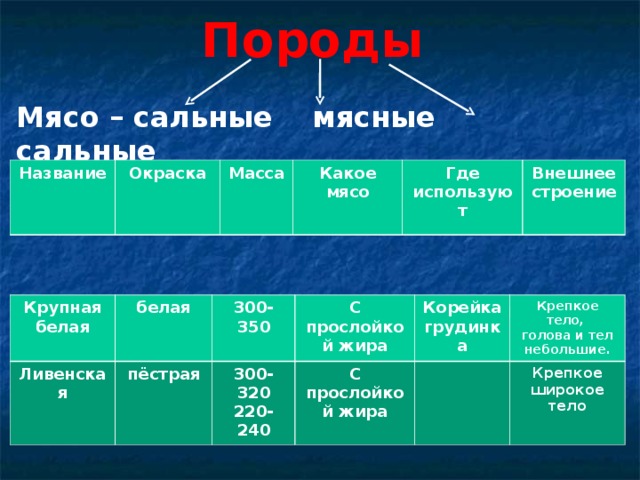 Породы Мясо – сальные мясные сальные   Мясо – сальные    Название Окраска Масса Какое мясо Где используют Внешнее строение Крупная белая Ливенская белая 300-350 пёстрая С прослойкой жира 300-320 220-240 Корейка грудинка С прослойкой жира  Крепкое тело, голова и тел небольшие. Крепкое широкое тело 