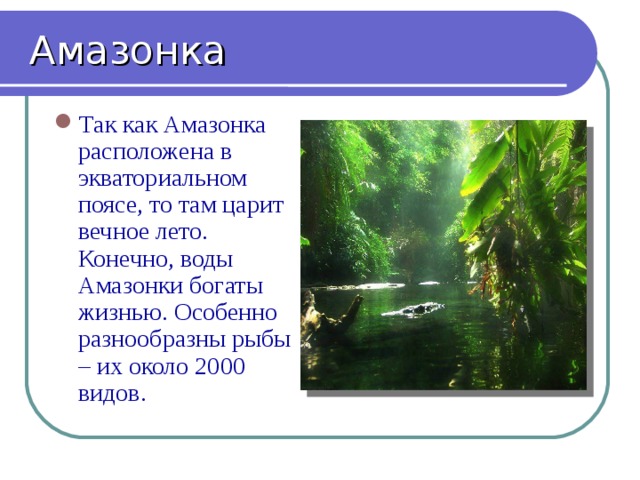   Амазонка Так как Амазонка расположена в экваториальном поясе, то там царит вечное лето. Конечно, воды Амазонки богаты жизнью. Особенно разнообразны рыбы – их около 2000 видов. 