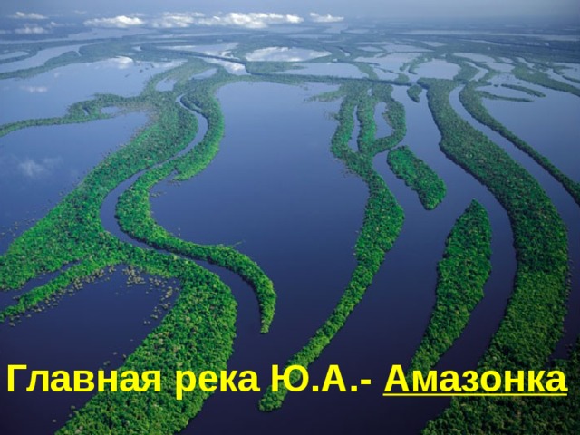 Главная река Ю.А.- Амазонка 