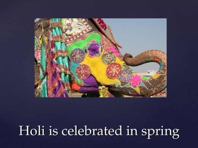 Holi is celebrated in spring 