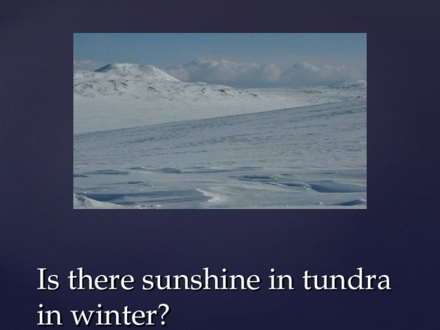 Is there sunshine in tundra in winter? 