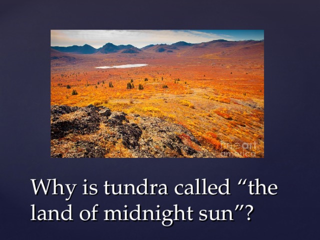 Why is tundra called “ the land of midnight sun ” ? 