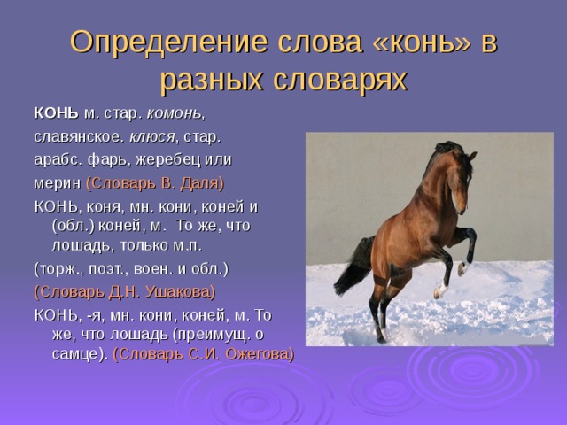 Лучшие речи кони. Предложение со словом конь. Конь слова. Предложение про лошадь. Предложение со словом лошадь.