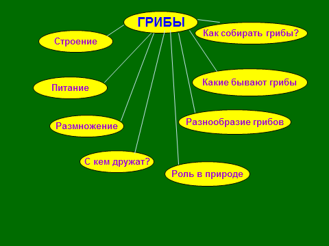 Биологические кластеры. Кластер царство грибов. Кластер на тему грибы. Кластер по биологии про грибы. Кластер по теме царство грибов.