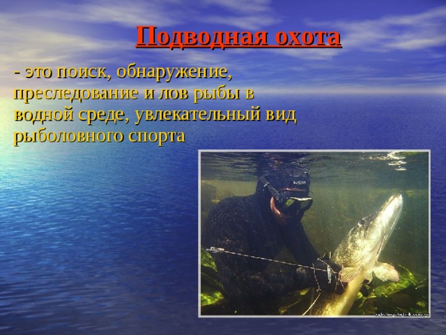 Подводная охота  - это поиск, обнаружение, преследование и лов рыбы в водной среде, увлекательный вид рыболовного спорта 