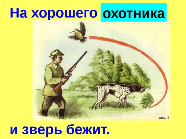 На ловца бежит. Поговорки охотников. • Охотника, зверь, хорошего, бежит, и, на. Поговорка на ловца и зверь бежит. Пословица зверь бежит.