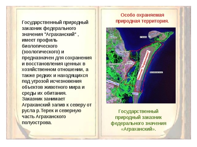 Заповедники дагестана презентация