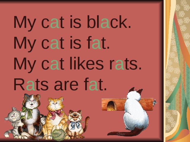 My c a t is bl a ck. My c a t is f a t. My c a t likes r a ts. R a ts are f a t. 