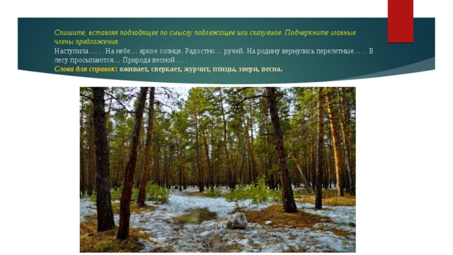 Спишите, вставляя подходящее по смыслу подлежащее или сказуемое. Подчеркните главные члены предложения.  Наступила … . На небе… яркое солнце. Радостно… ручей. На родину вернулись перелетные… . В лесу просыпаются… Природа весной … .  Слова для справок :  оживает, сверкает, журчит, птицы, звери, весна.   