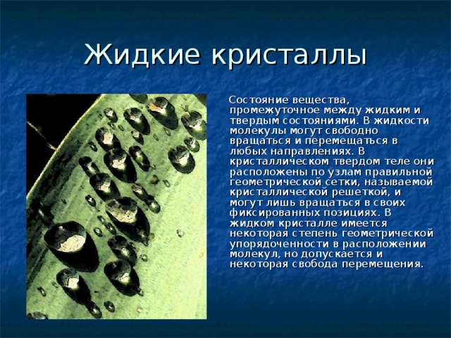 Промежуточное между. Жидкие Кристаллы примеры. Жидкие Кристаллы в природе. Жидкокристаллические вещества примеры. Жидкокристаллические тела примеры.