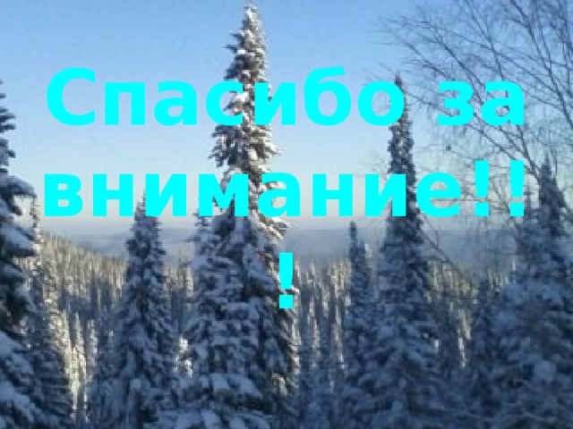Спасибо за внимание!!! 