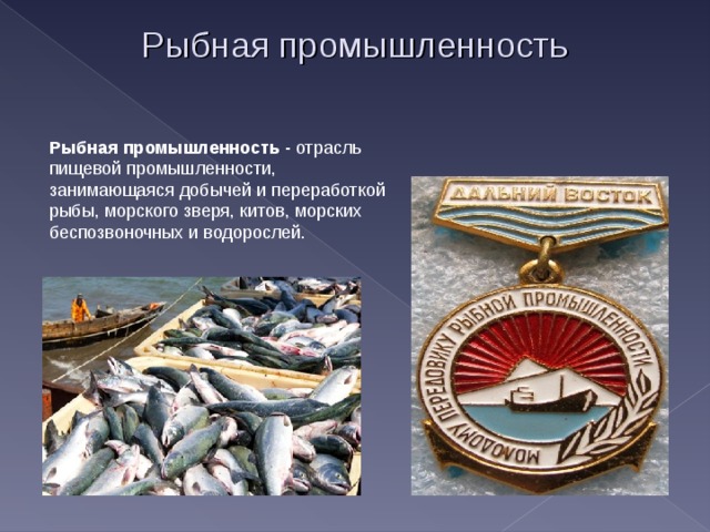 Рыбная промышленность Рыбная промышленность - отрасль пищевой промышленности, занимающаяся добычей и переработкой рыбы, морского зверя, китов, морских беспозвоночных и водорослей. 