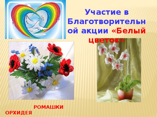 Участие в Благотворительной акции «Белый цветок»  Ромашки Орхидея 