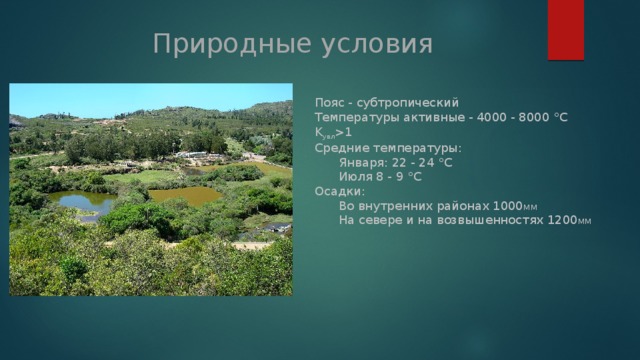 Характеристика уругвая по плану