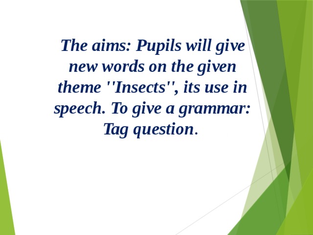 The aims: Pupils will give new words on the given theme ''Insects'', its use in speech. To give a grammar: Tag question . 