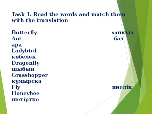 Task 1. Read the words and match them with the translation   Butterflу ханқыз  Ant бал ара  Ladybird көбелек  Dragonflу шыбын  Grasshopper құмырсқа  Fly инелік  Honeybee шегіртке 