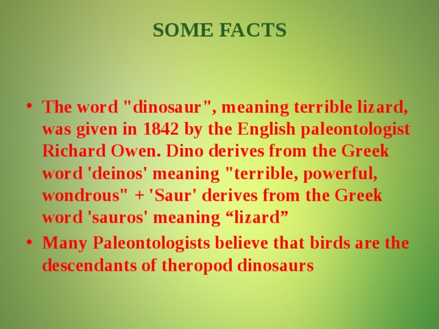SOME FACTS   The word 