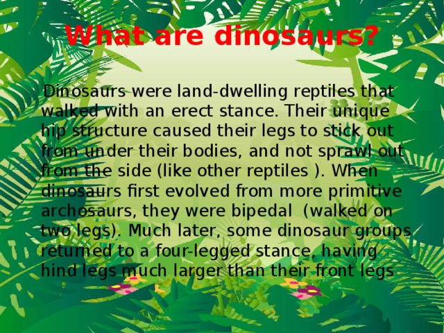 What are dinosaurs?  Dinosaurs were land-dwelling reptiles that walked with an erect stance. Their unique hip structure caused their legs to stick out from under their bodies, and not sprawl out from the side (like other reptiles ). When dinosaurs first evolved from more primitive archosaurs, they were bipedal  (walked on two legs). Much later, some dinosaur groups returned to a four-legged stance, having hind legs much larger than their front legs  