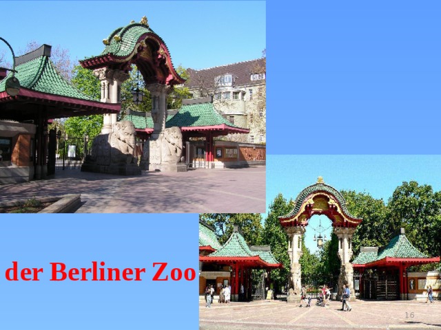 der Berliner Zoo 3 
