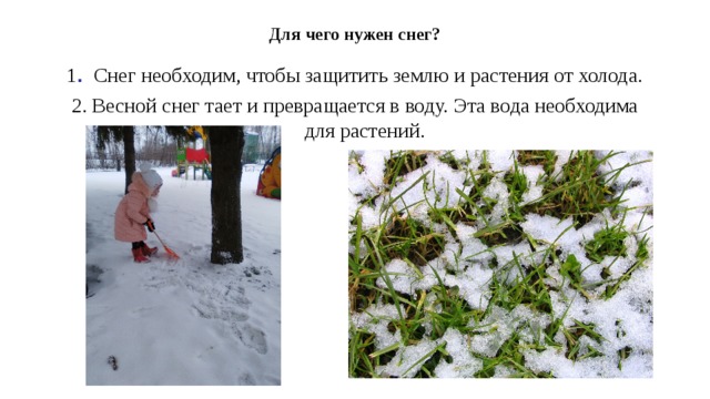 Почему снег становится липким. Для чего нужен снег. Для чего нужен снег растениям. Весенний снег. Польза снега.