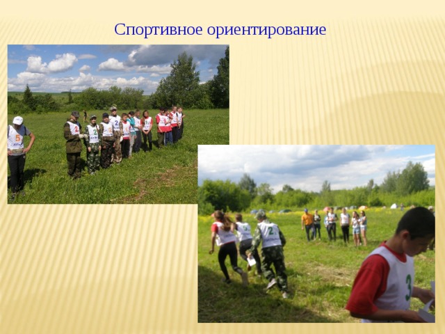 Спортивное ориентирование 