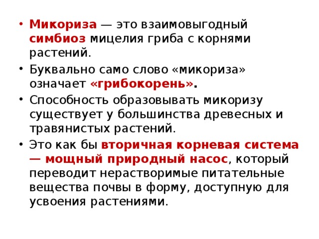 Микориза — это взаимовыгодный симбиоз мицелия гриба с корнями растений.  Буквально само слово «микориза» означает «грибокорень» .  Способность образовывать микоризу существует у большинства древесных и травянистых растений. Это как бы вторичная корневая система — мощный природный насос , который переводит нерастворимые питательные вещества почвы в форму, доступную для усвоения растениями. 